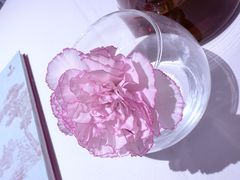 -眉州东坡(望京店)