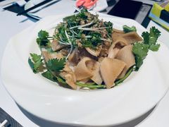 鲜沙姜捞羊肚-新兴·金羊座·粤菜点心(乐峰店)