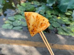 -雪儿钱局泡菜