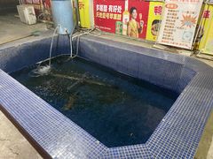 -鸿渡渔庄·特色鸭咀鱼