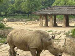 -杭州野生动物世界