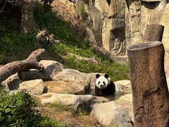 -宁波野生动物园