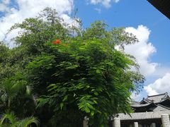 -三亚亚龙湾雅高美爵酒店