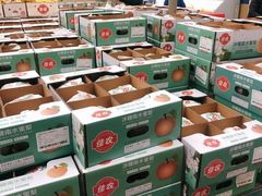 -盒马X会员店(上海森兰商都店)