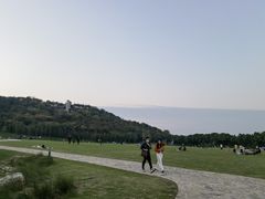 -羊山湖公园
