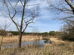 -同里国家湿地公园