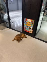 -北京V5舞蹈工作室