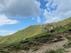-灵山