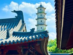 -江心屿景区