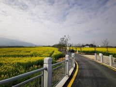 -三垟湿地