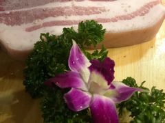 -唯成•韩国炭火烤肉 유성고기