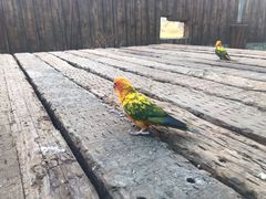 -南京金牛湖风景区