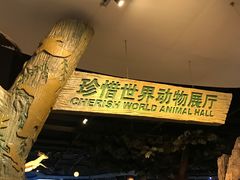 -陕西自然博物馆