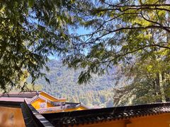 -九华山风景区