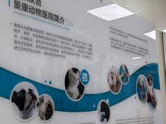 -美联众合爱康动物医院•复杂内科•肿瘤科•牙科•腔镜诊疗中心