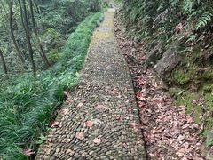 -天明山温泉大酒店