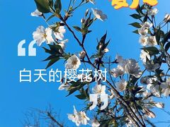 -新江湾城公园