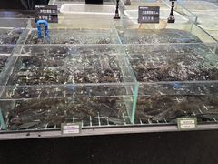 -湘轩·土菜研究院(光大店)