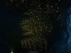 -地心探险极地