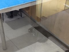 -艾贝尔宠物医院·24H转诊中心·肿瘤猫专科(江宁双龙店)