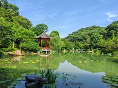 -云溪植物园