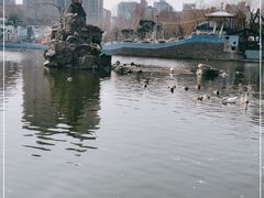 -团结湖公园