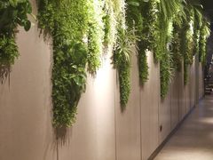 -威尔仕健身(海伦中心店)