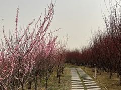 -河北省园博园