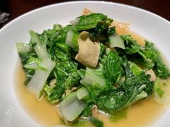 -新连采·海鲜·大连菜(大连恒隆广场店)