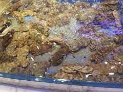 -澜悦港海鲜体验主题餐厅