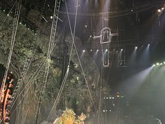 -广州长隆国际大马戏