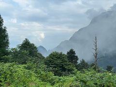 -峨眉山风景名胜区