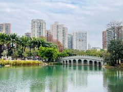 -四海公园(南山区)