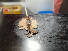 -大学城夜市大排档(凤栖路店)