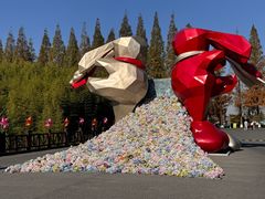 -黄海国家森林公园