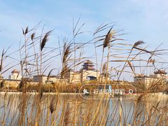 -莲花池公园