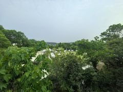 -云栖山谷野奢营地