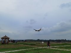 -空港花田景区