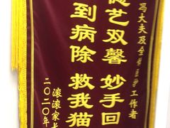 -中农国际动物医院24小时·猫科·骨科·急重症中心