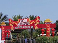 -天适樱花悠乐园