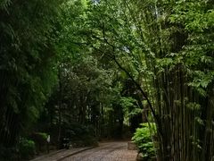-蝴蝶泉公园