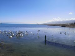 -青海湖国家重点风景名胜区