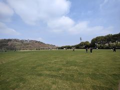 -羊山湖公园