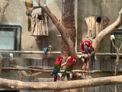 -大连森林动物园