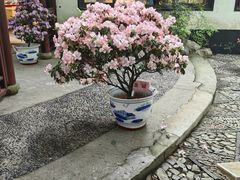 -汇龙潭
