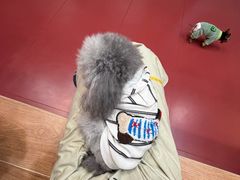 -和它·交个朋友·狗咖猫咖(爱琴海店)