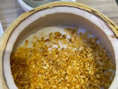 -探窝·竹笙椰子鸡(杨箕店)