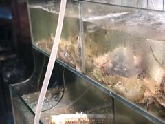 -阿凡海鲜(甬港北路店)