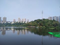 -重庆彩云湖湿地公园