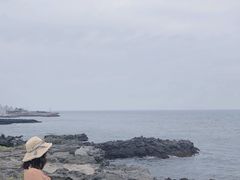-龙头岩(Dragon Head Rock)
